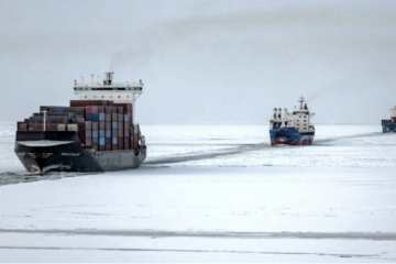 newnew polar bear container shipping